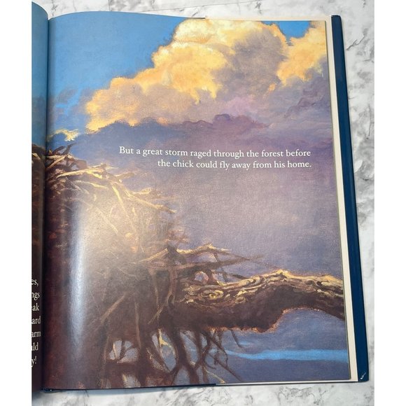 Challenger Americas Favorite Eagle Margot Raven 2005 Bald Eagle Reference - Picture 8 of 12